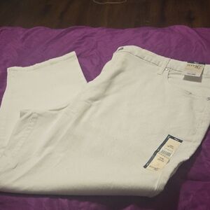 TERRA & SKY NWT White Denim Jeans 26W Petite